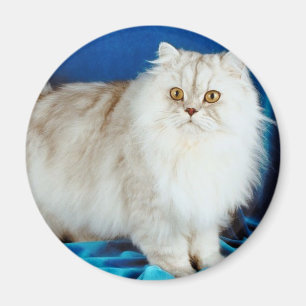 Imán Gato Fluffy