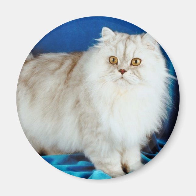 Imán Gato Fluffy (Frente)