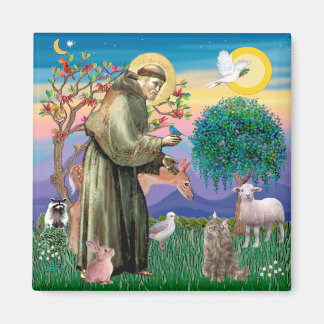 Imán Gato forestal noruego Tabby - San Francisco