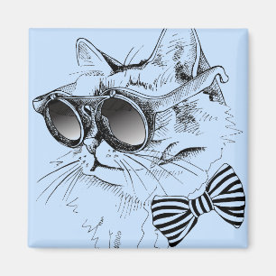 Imán Gato fresco