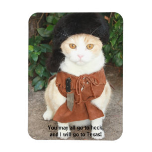Imán Gato/gatito en ante con la cita de Davy Crockett