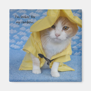 Imán Gato/gatito en impermeable amarillo del