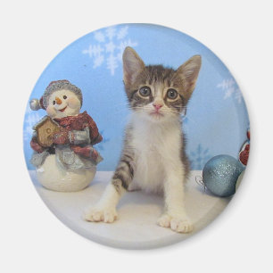 Imán Gato, gatito, navidad, rescate, foto