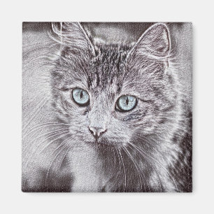 Imán Gato Gato Gatito Gatito Gatito Con Ojos Azules Lum