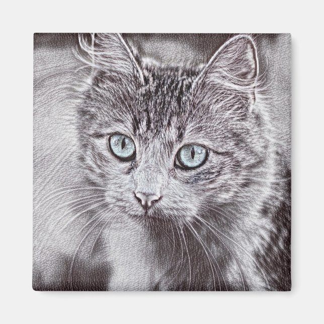 Imán Gato Gato Gatito Gatito Gatito Con Ojos Azules Lum (Frente)