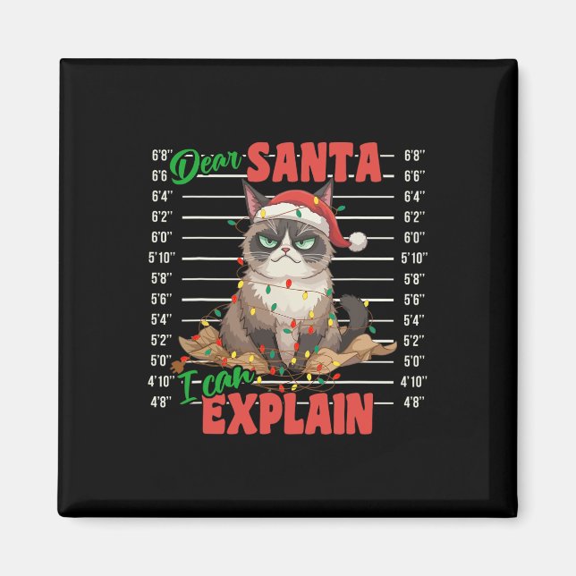 Imán Gato gracioso Mugshot Querido Papá Noel Puedo Expl (Frente)