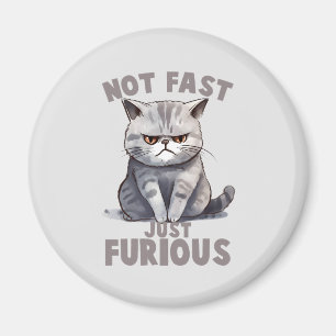 Imán Gato gracioso - No rápido, sólo curioso