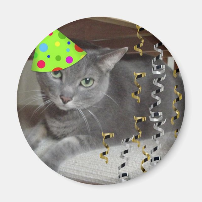 Imán Gato gris animal fiesta (Frente)