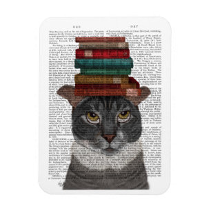 Imán Gato gris con libros en la cabeza