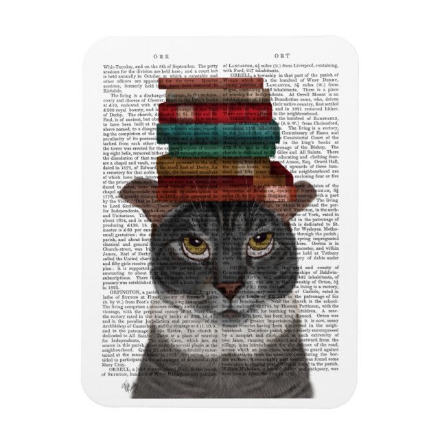 Imán Gato gris con libros en la cabeza (Vertical)