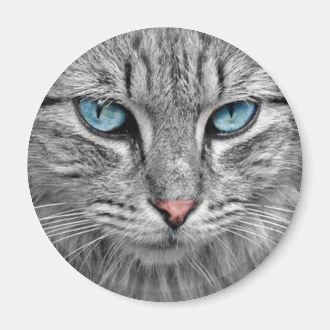 Imán Gato gris con ojos azules (Frente)