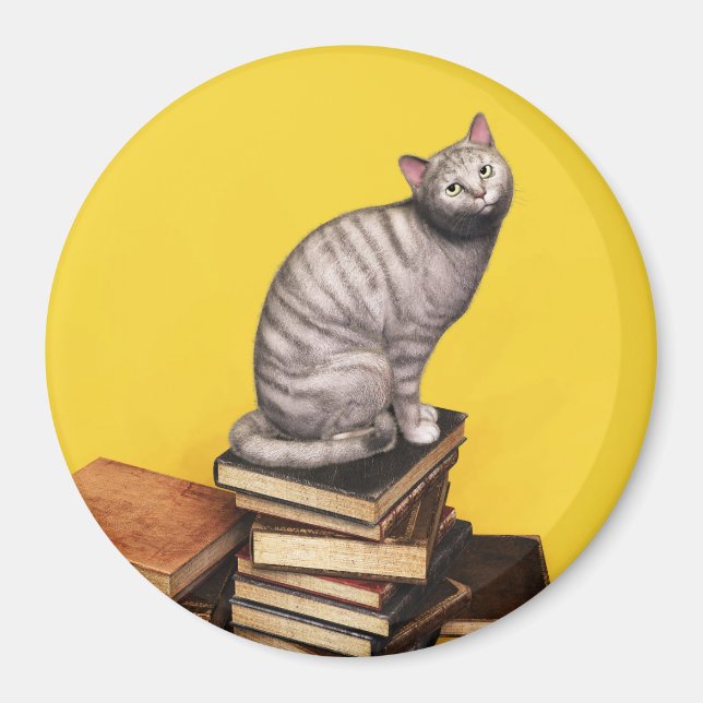 Imán Gato gris en una pila de libros Magnet (Frente)