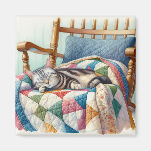 Imán Gato grisáceo dulce durmiendo en un montón