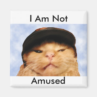 Imán Gato gruñón