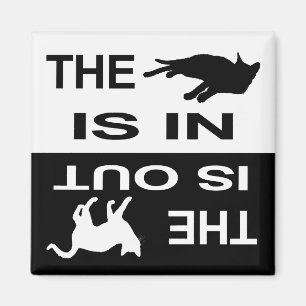 Imán Gato In/Out 2