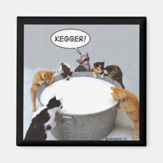 Imán Gato Kegger Magnet