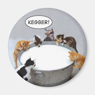 Imán Gato Kegger Magnet