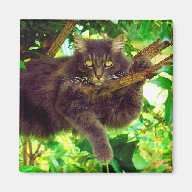 Imán Gato Kitty (Frente)