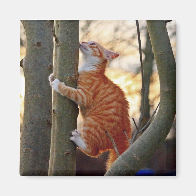 Imán Gato Kitty (Frente)