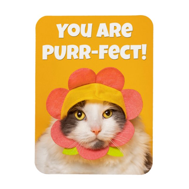 Imán Gato lindo en humor Gorra de flores (Vertical)