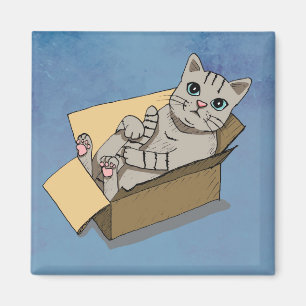 Imán Gato lindo en un dibujo de la caja de cartón