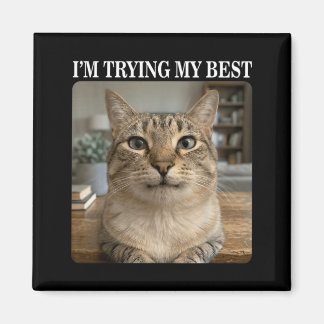 Imán Gato llorando divertido Meme para hombres mujeres 