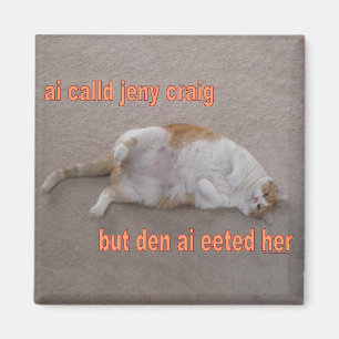Imán GATO LOL: ai calld jeny craig-but den ai la recibi
