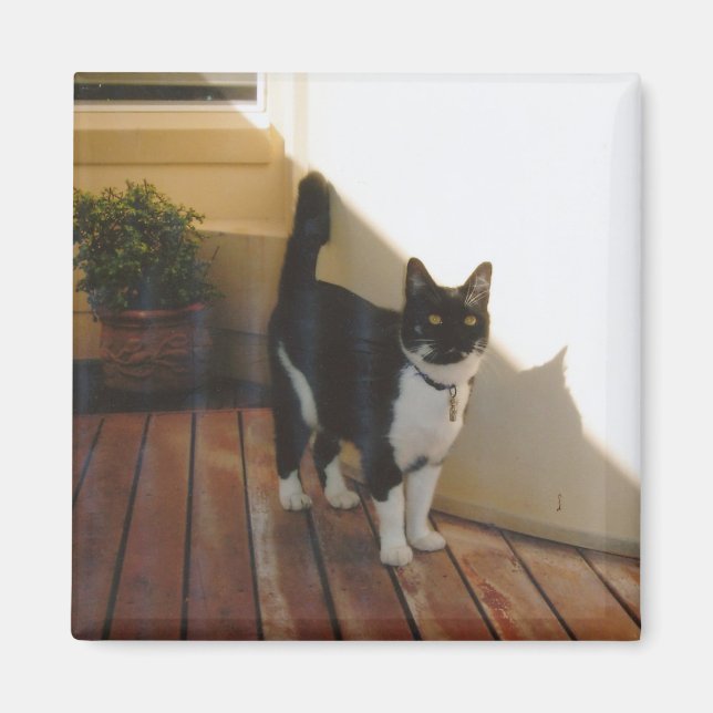 Imán Gato mágico - Personalizado (Frente)