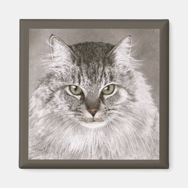 Imán Gato Magnet - "Merlin" (Frente)