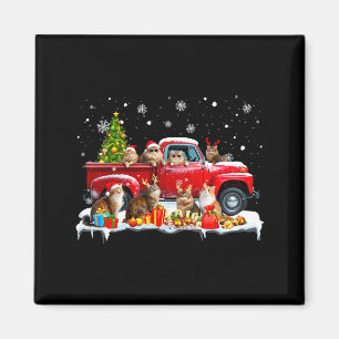 Imán Gato Maine Coon Camión Rojo Árbol de Navidad Santa