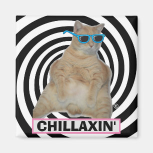 Imán Gato Manx Gordo CHILLAXIN" con Gafas de Sol