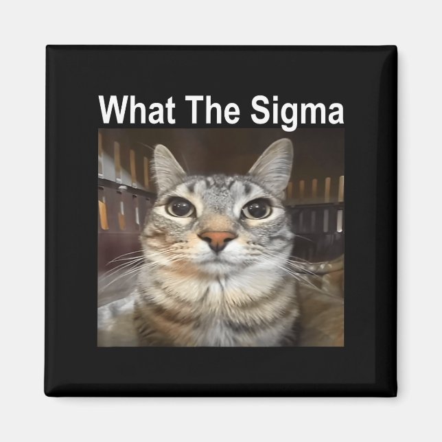 Imán Gato Meme Divertido ¿Qué es el Sigma Cita de Meme  (Frente)
