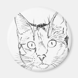 Imán Gato mimoso