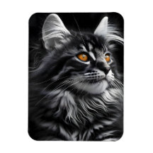 Gato Monocromo Con Ojos Ámbrojos