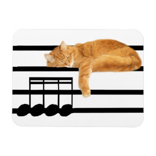 Imán Gato musical del gatito del tabby