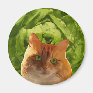 Imán  Gato Naranja