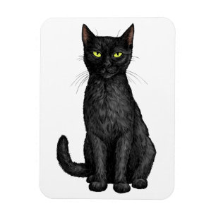 Imán Gato negro