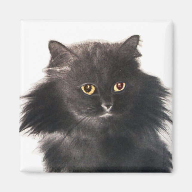 IMÁN GATO NEGRO (Frente)