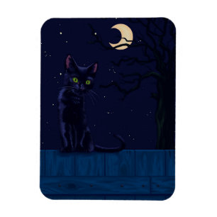 Imán Gato negro