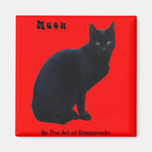 Imán Gato negro