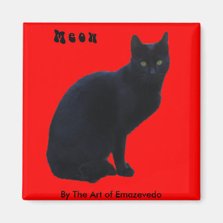 Imán Gato negro