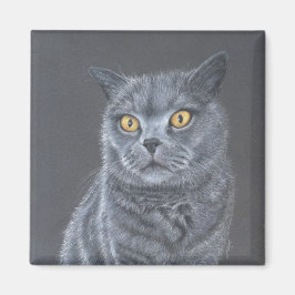 Imán Gato negro 