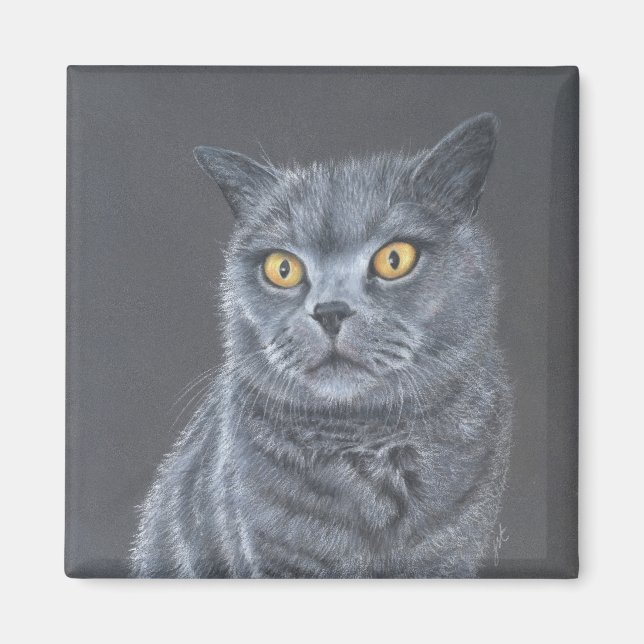 Imán Gato negro  (Frente)