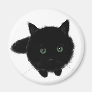 Imán Gato negro