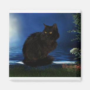 Imán Gato negro animal doméstico