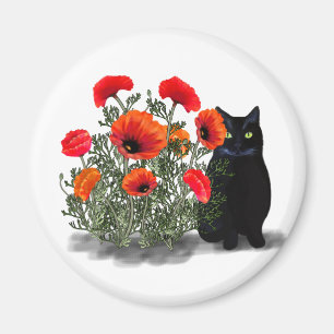 Imán Gato negro con magnetoscopio