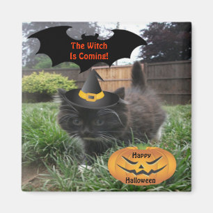 Imán Gato negro magnético La Bruja viene