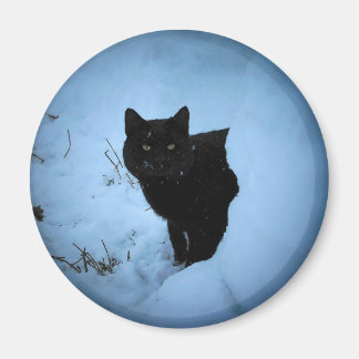 Imán Gato negro Snowy foco