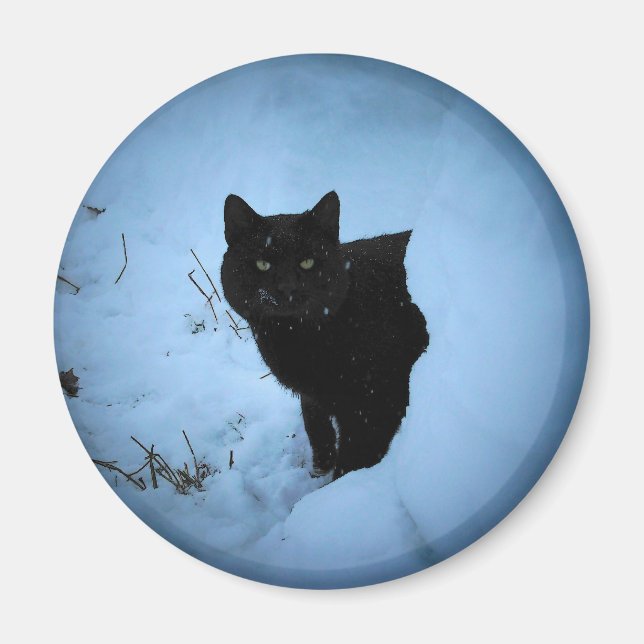 Imán Gato negro Snowy foco (Frente)