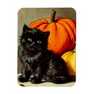 Imán Gato negro vintage de Halloween y calabazas